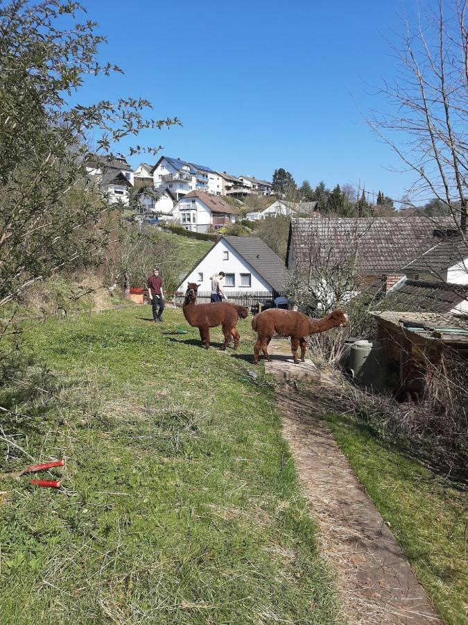 Ferienwohnung Traumblick - a33054 Morschen Exterior foto